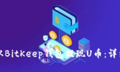 如何从BitKeep钱包提现U币：详细指南