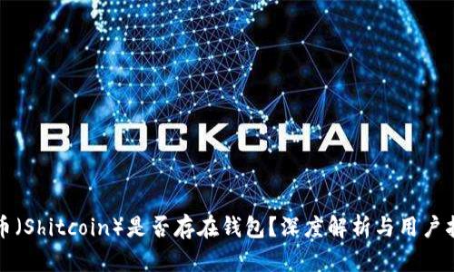 屎币（Shitcoin）是否存在钱包？深度解析与用户指南
