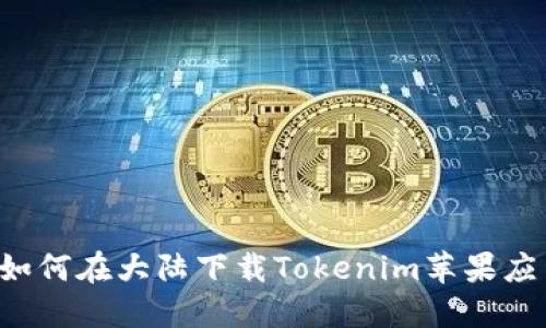  如何在大陆下载Tokenim苹果应用