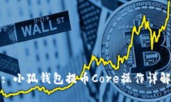 : 小狐钱包提币Core操作详解