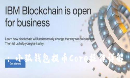 : 小狐钱包提币Core操作详解