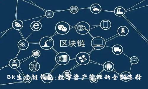 BK生态链钱包：数字资产管理的全新选择