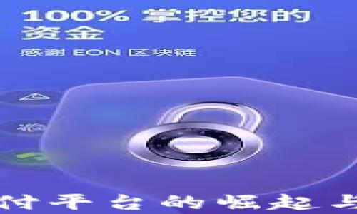 
泰达币支付平台的崛起与未来发展