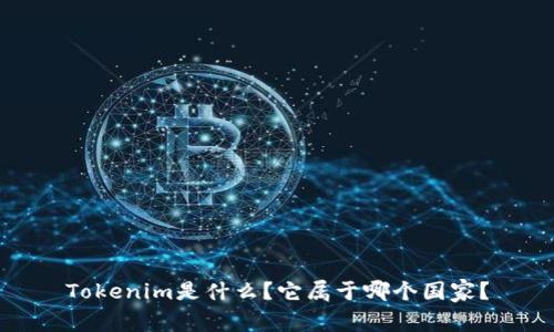 Tokenim是什么？它属于哪个国家？