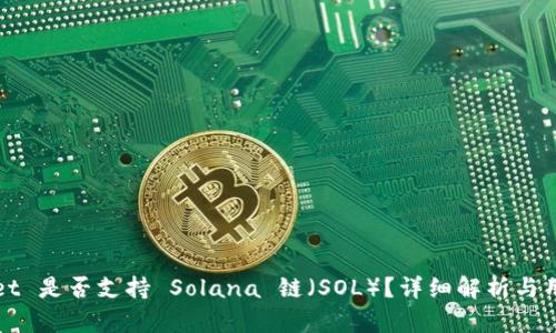 tpWallet 是否支持 Solana 链（SOL）？详细解析与用户指南