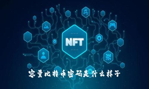 容量比特币密码是什么样子