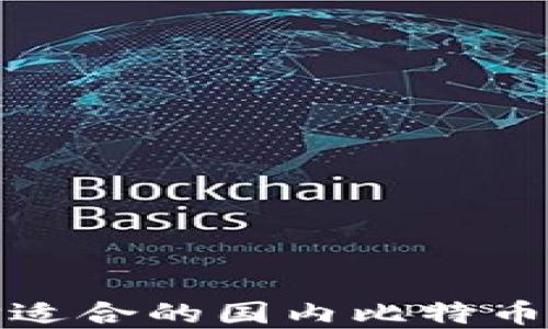 
如何选择适合的国内比特币钱包地址