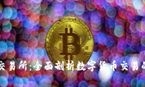 波币交易所：全面剖析数字货币交易的未来