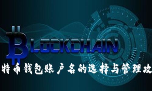 比特币钱包账户名的选择与管理攻略